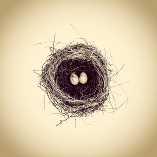 Illustration for article titled Only an iPhone Was Used to Create This Archive of Backyard Wildlife